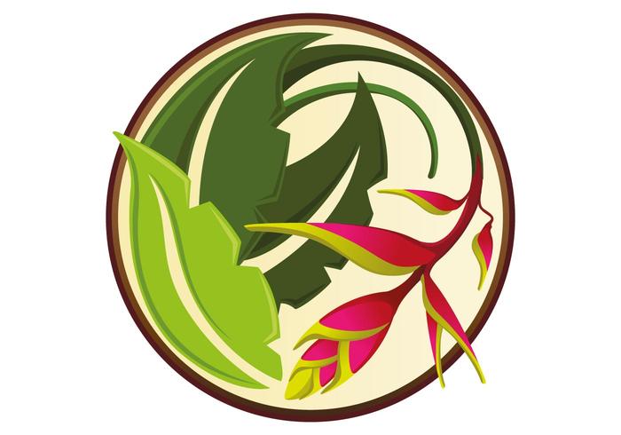 热带花卉