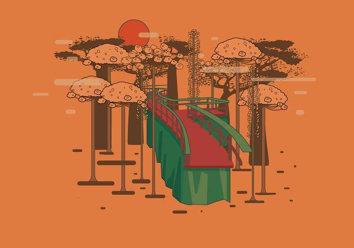 通过森林传染媒介的木板走道
