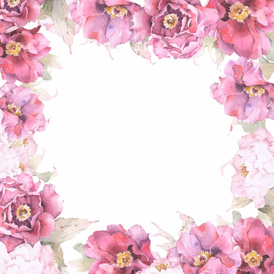 绯红牡丹花框架框架