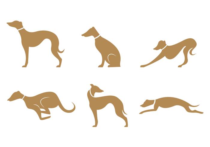 金棕色Whippet剪影矢量