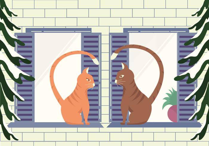 免费矢量猫