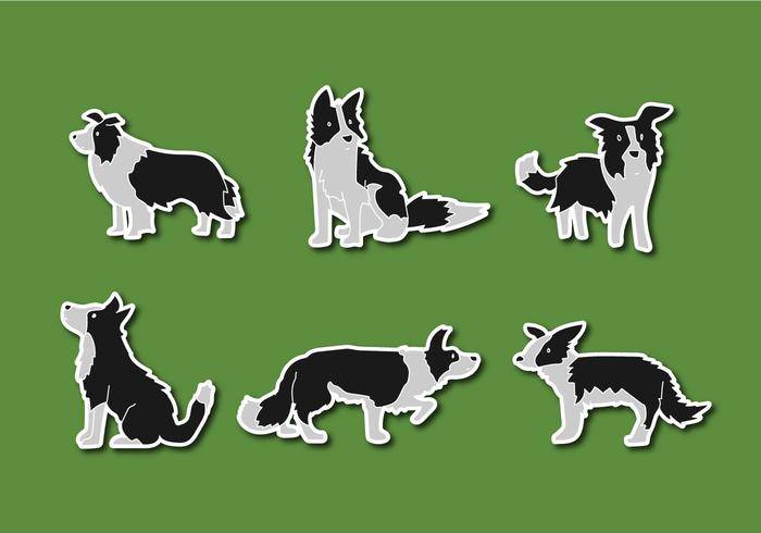 免费的博德牧羊犬矢量图