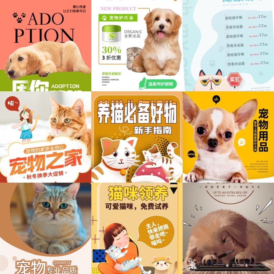 宠物动物猫狗寄养猫舍犬舍商品活动宣传促销折扣海报PSD设计素材