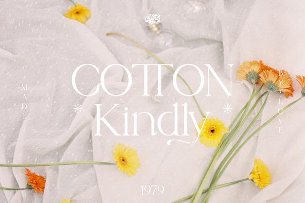 Cotton Kindly Modern Serif Font