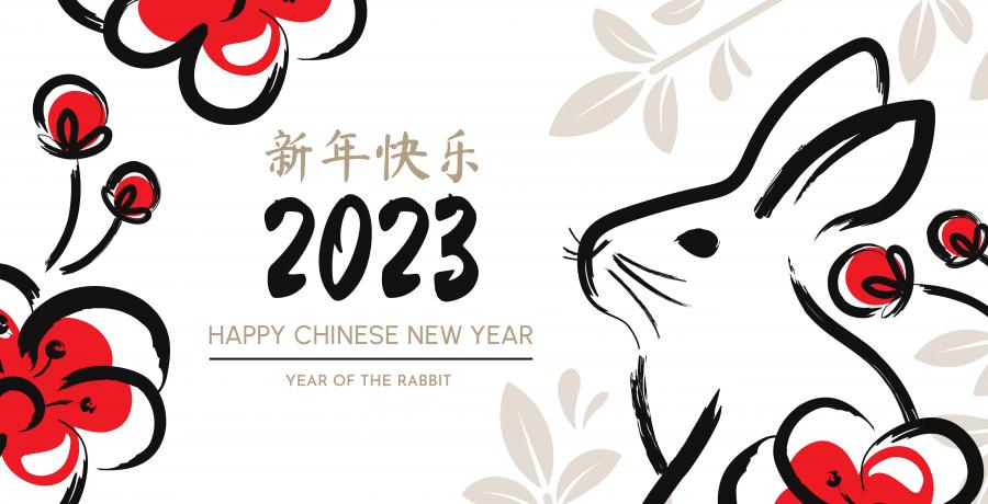 6款兔子兔年2023年春节新春背景EPS格式