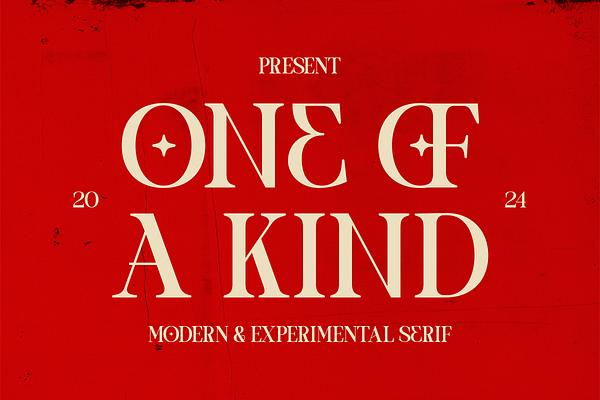 One of a kind Serif font