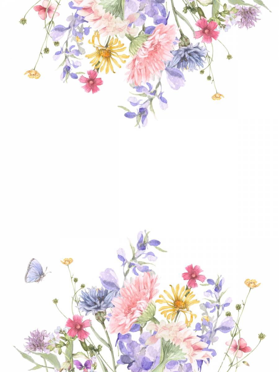 花框架206  - 非洲菊和花框架的多彩小花