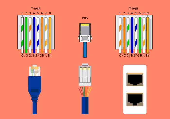 免费的RJ45矢量