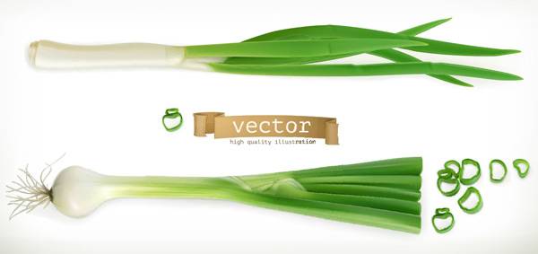 葱和葱花矢量