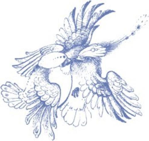 鸟类