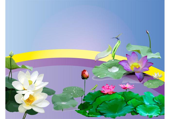 水生植物