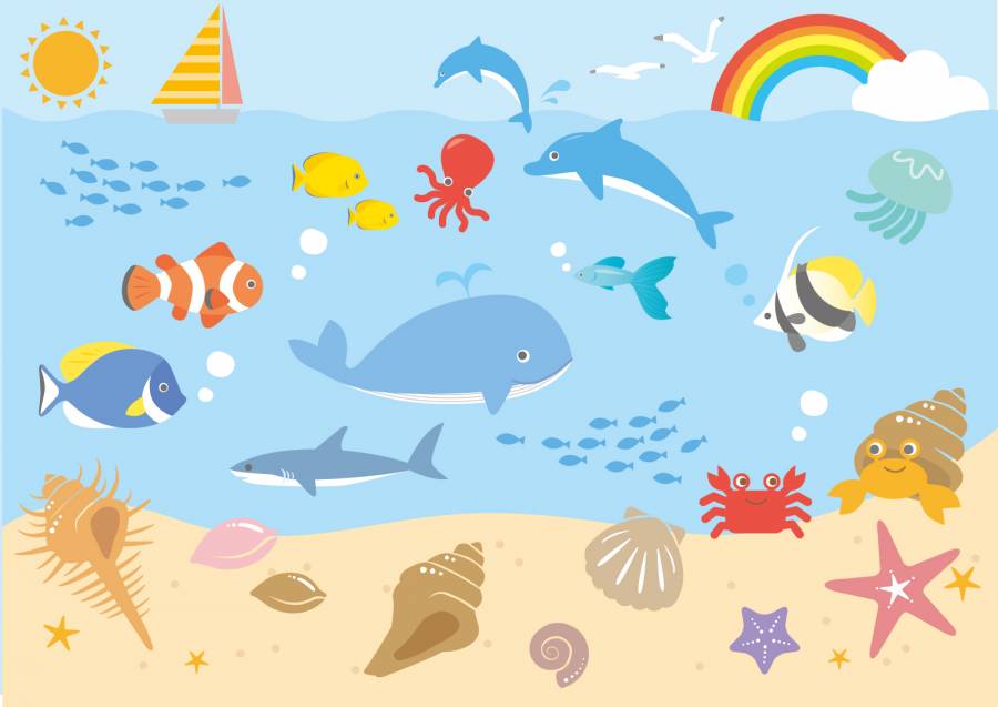海洋生物