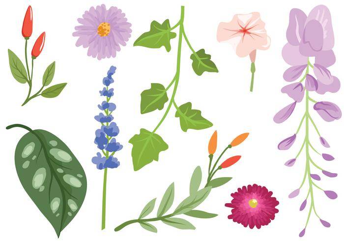 免费花园花卉载体