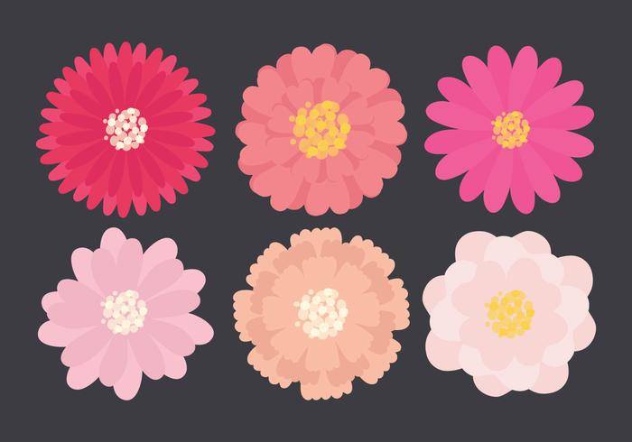 矢量花卉集合