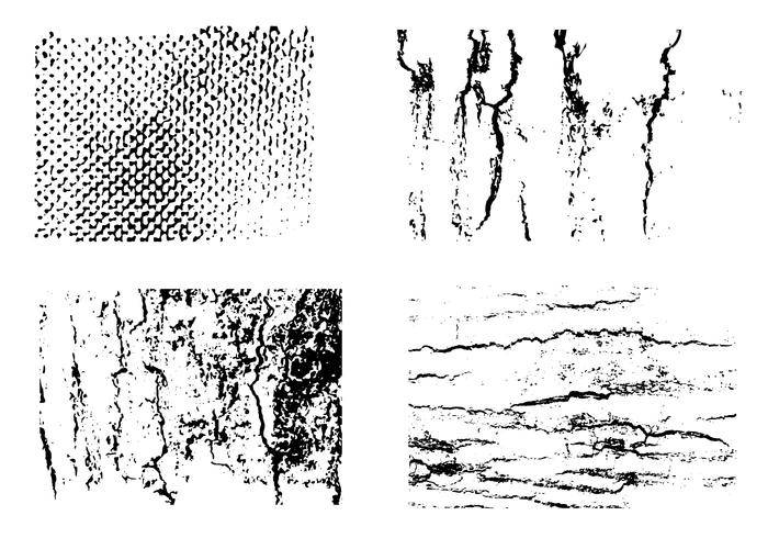 套纹理传染媒介