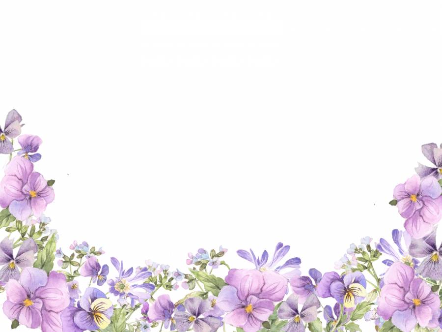 花框架119  - 紫色的世界，紫色的花朵