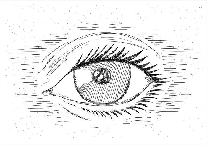 免费手绘矢量眼睛