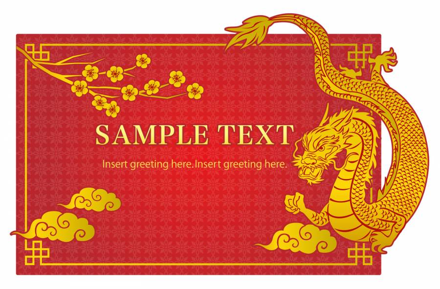 龙的框架