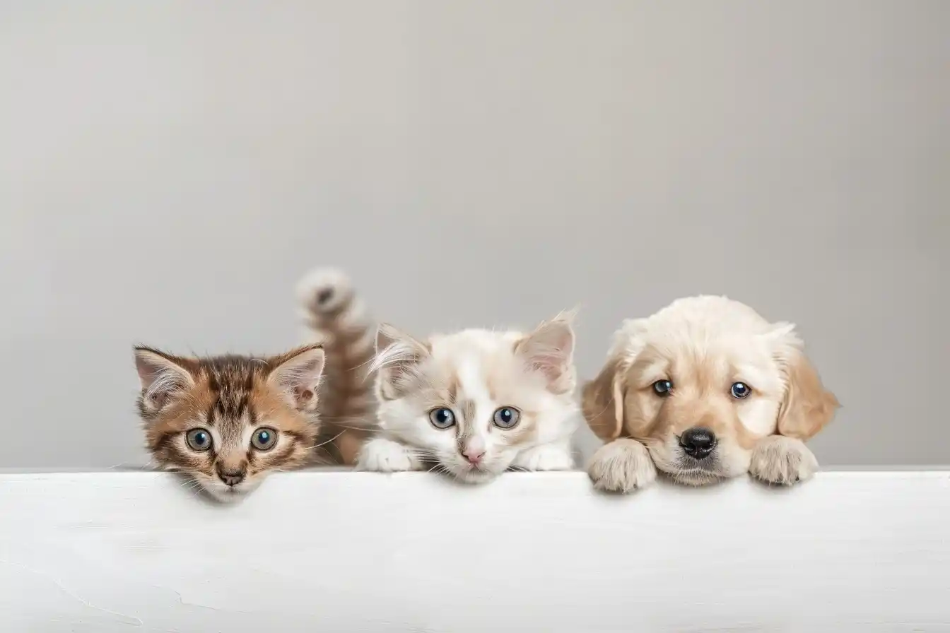Peeking Pets Tabletop Illustration Midjourney提示词