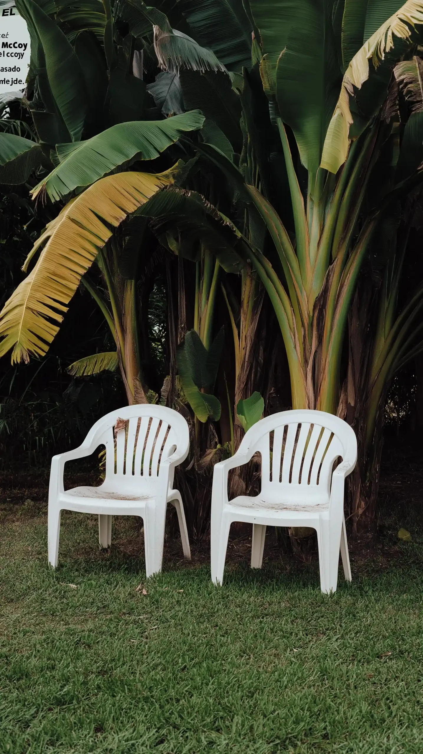 Poster of Chairs in Lawn Midjourney提示词