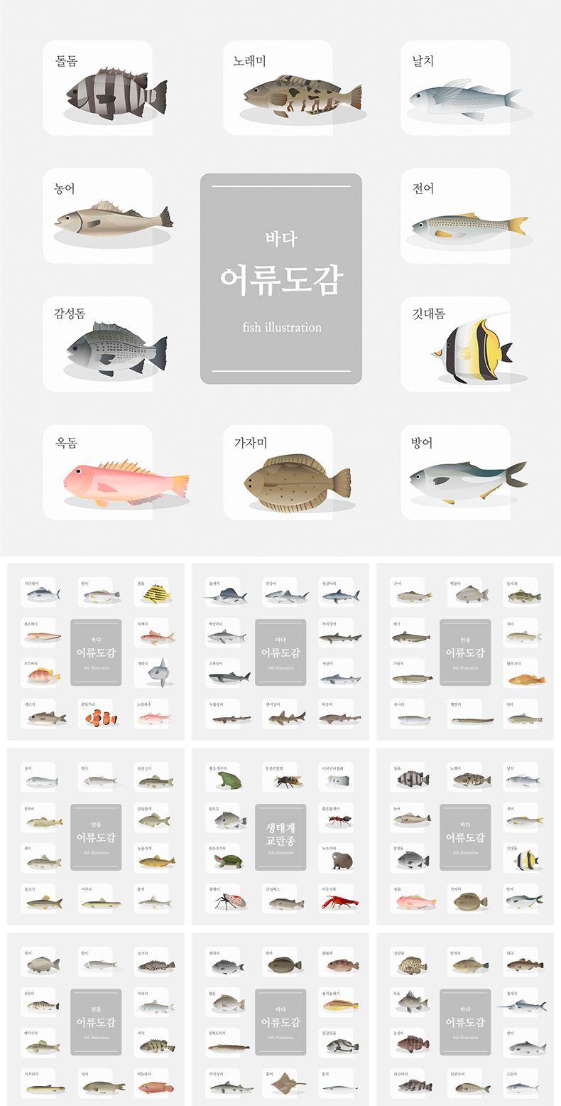9款水产品海鲜鱼观赏鱼插图AI格式