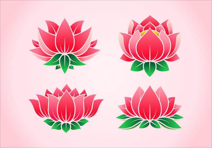 粉红色的莲花花载体