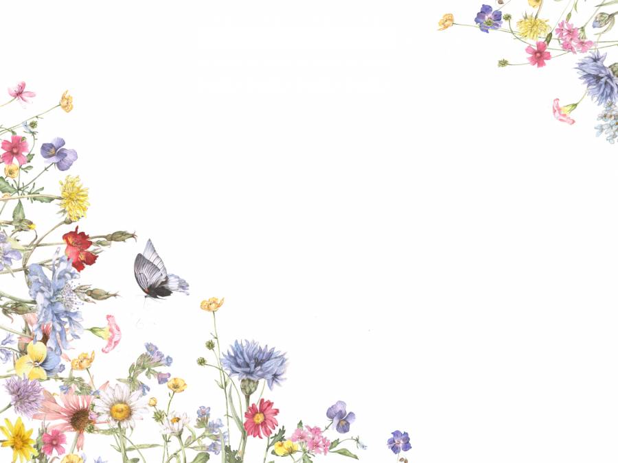花框199  - 钩型，迷人的花框