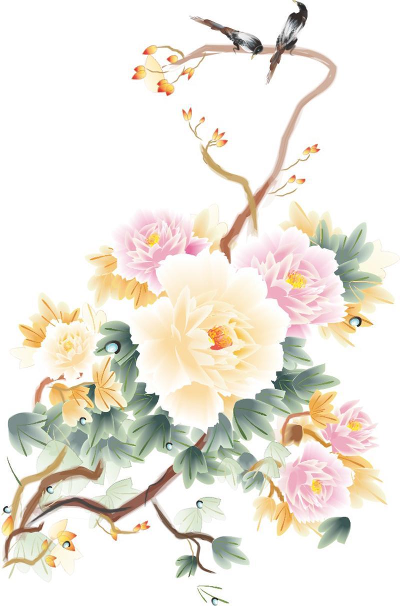 牡丹花
