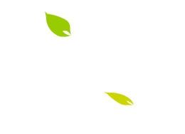 纷飞的叶子flash源文件