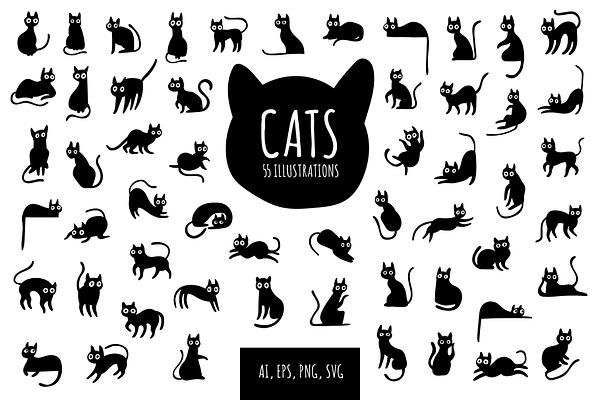 Cats vector bundle.