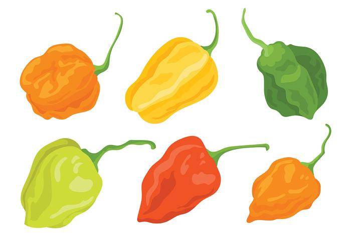 Habanero矢量图标