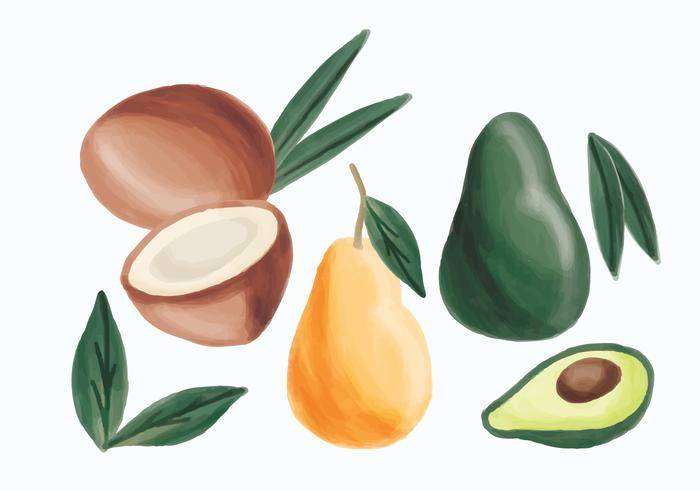 矢量手绘牛油果，梨和椰子