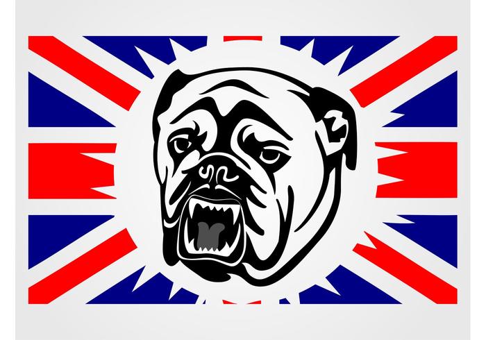 英国牛头犬传染媒介