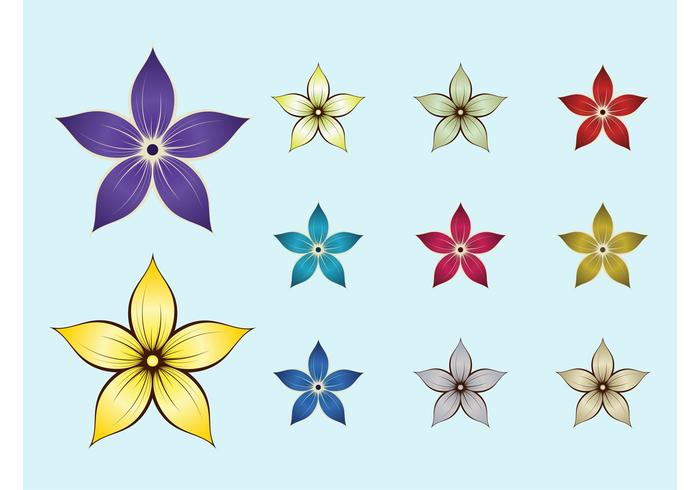 花开花