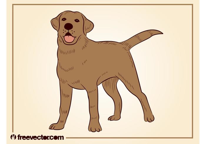 狗的插图