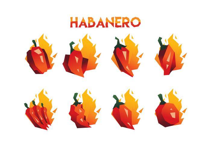 免费的Habanero矢量集合