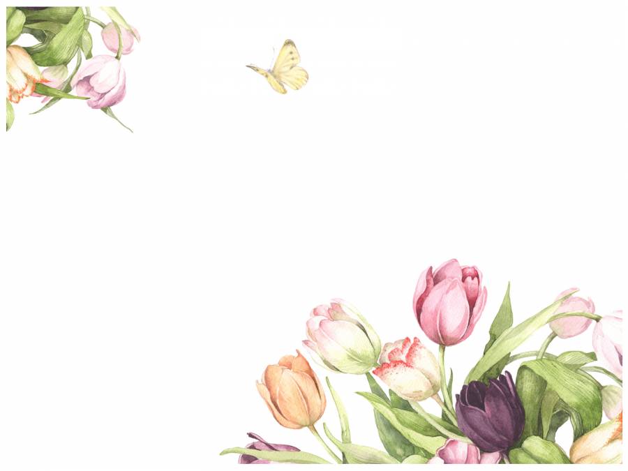 信背景11  - 郁金香开花