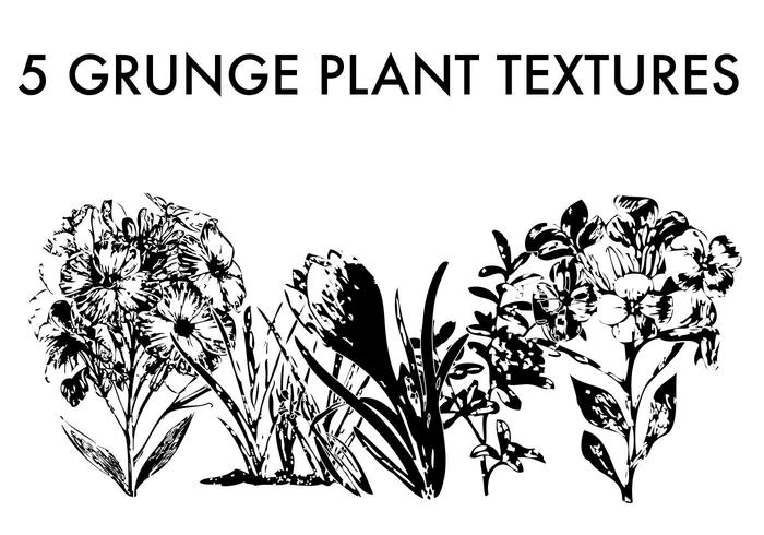 5由LVF的Grunge植物纹理
