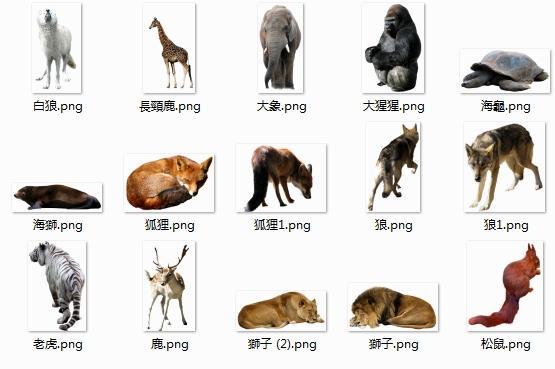15张动物类PNG素材