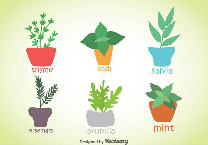 草本和香料植物矢量