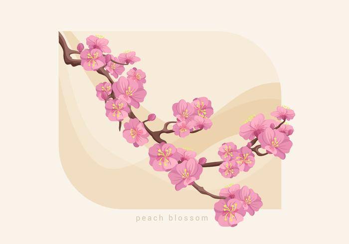桃花矢量图