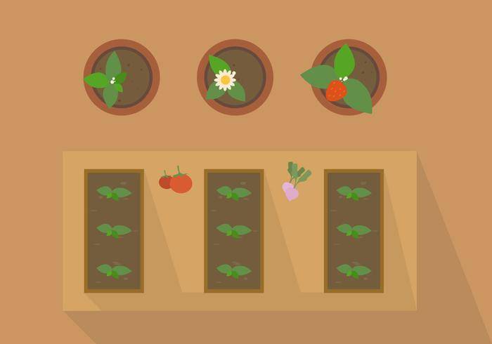 免费植物从顶级的矢量
