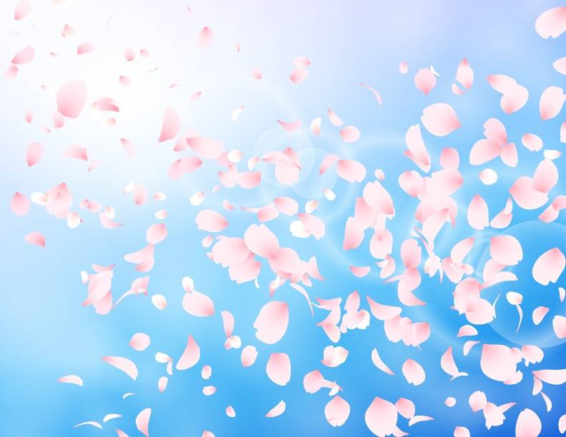 樱花_淡蓝_粉红