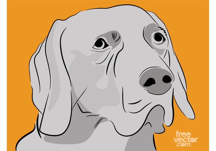 拉布拉多猎犬矢量