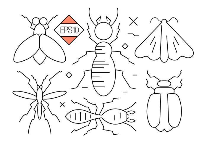Bug和昆虫矢量图标