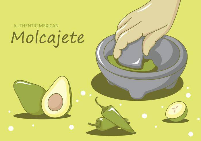 Molcajete例证传染媒介