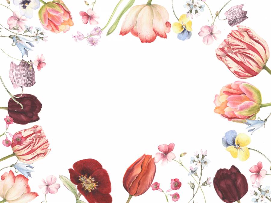 花，花花框架 - 框架