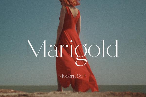 Marigold Modern Serif