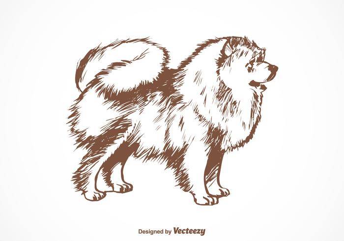免费博美犬狗矢量图