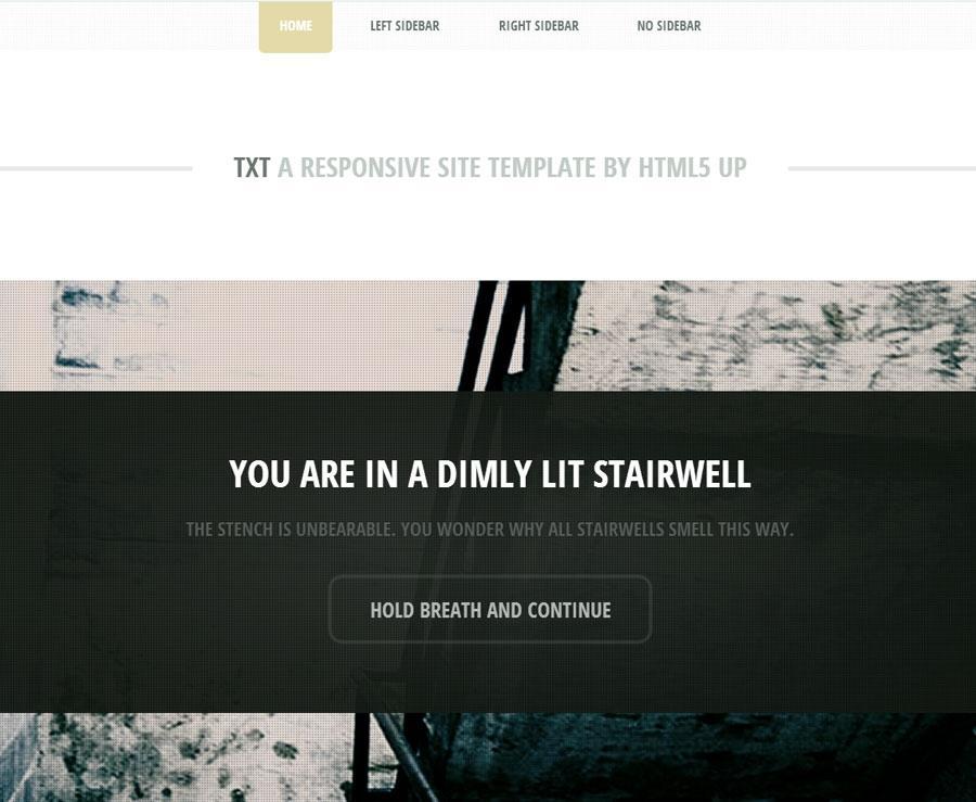 响应式网站模板  html5up-txt